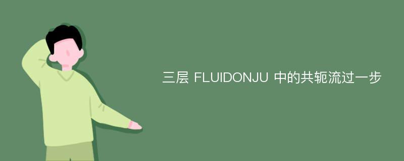 三层 FLUIDONJU 中的共轭流过一步