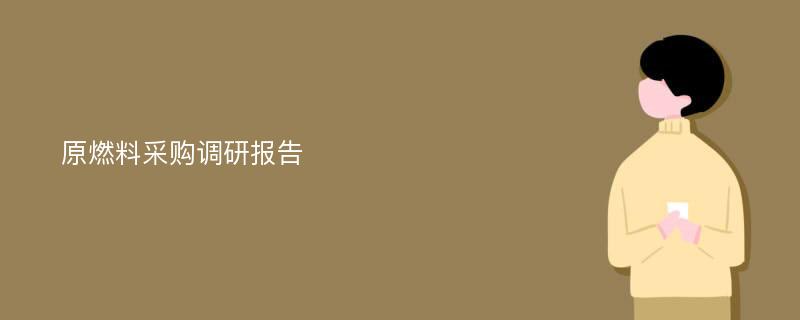 原燃料采购调研报告